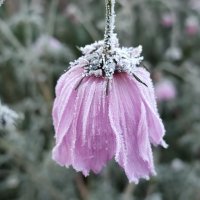 В октябре :: Валентина Богатко 