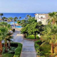 С миру по нитке... :: Роман Савоцкий