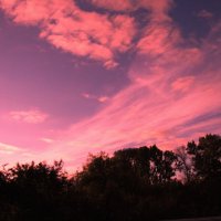 Красивое утро :: Людмила Смородинская