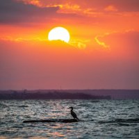 Встречая рассвет :: Ирина 