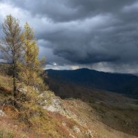 Осень на перевале :: Марина Фомина.