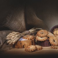 * :: Svetlana Galvez