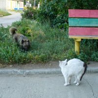 Встреча :: Владимир Иванович