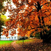 Дорожка к гостинице :: Aida10 