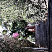 Осенний этюд :: Аркадий Басович Осенний этюд :: Аркадий Басович