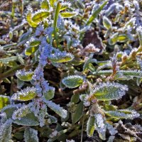 утро :: ИРЭН@ . утро :: ИРЭН@ .