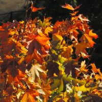 С 9 этажа... :: Юрий Куликов С 9 этажа... :: Юрий Куликов