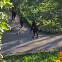 Гуляния :) :: Юрий Куликов