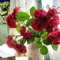 Натюрморт! :: жанна нечаева