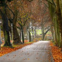 Поздняя осень :: Юрий. Шмаков Поздняя осень :: Юрий. Шмаков