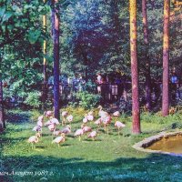 *** :: Роланд Дубровский