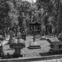 Введенский ставропигиальный мужской монастырь Оптина пустынь :: Юрий Яньков