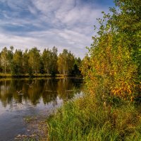 Бабье лето 10 :: Андрей Дворников