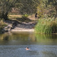 Вспоминая сентябрь (21.09.25) :: Татьяна Машошина