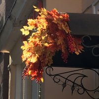 Просто осень... :: Владимир Павлов