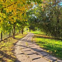 Осень :: Наталья 