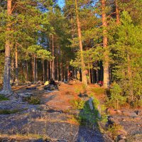 *** :: Александр Хаецкий