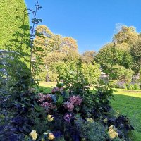 Осень :: Сапсан 