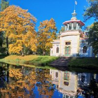 Осень :: Сапсан 