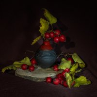 натюрморт с боярышником :: Galina 
