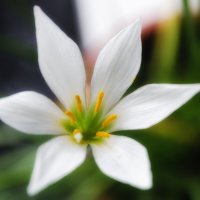 *** :: Виктор Иванович Чернюк