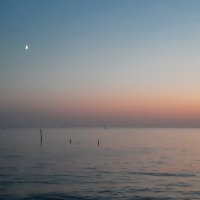 ЗАКАТ :: Tata Wolf