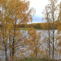 Шагает осень по Уралу :: Любовь Сахарова