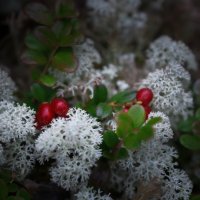 * :: Александр Иванов