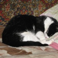 Так сладко спится :: Людмила Смородинская Так сладко спится :: Людмила Смородинская