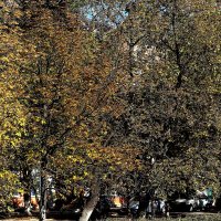 Бабье лето :: Юрий Гайворонскiий Бабье лето :: Юрий Гайворонскiий