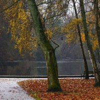 Там в декабре :: Юрий. Шмаков