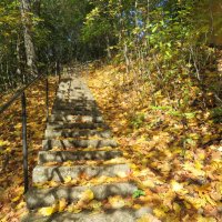 дорога в осень :: ИРЭН@ .