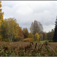 Прекрасная пора :: Aleksandr Gal