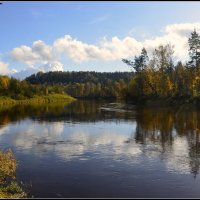 *** :: Aleksandr Gal