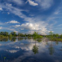 Летним днем :: Наталья Димова