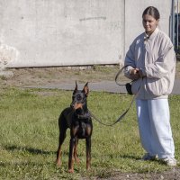 ... :: Елена Пономарева