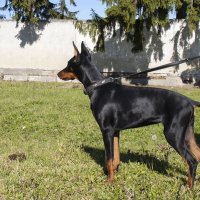 ... :: Елена Пономарева