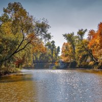 Осень :: Светлана Ищенко
