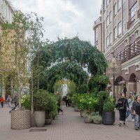 ___ :: Yuriy V ___ :: Yuriy V