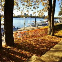 НАБЕРЕЖНАЯ :: АЛЕКСАНДР 