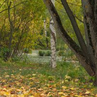 ***** :: юрий поляков