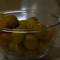 Собрал с дерева в переди  дома02,010,2025г :: ujgcvbif 