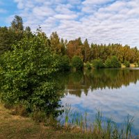 Бабье лето 11 :: Андрей Дворников