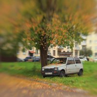 Сентябрьский дворик :: Владилен Панченко