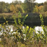 Осенью у реки :: Татьяна Машошина