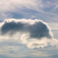 Небесный слоник :: Светлана 