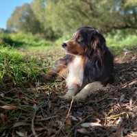 Фантом на солнышке :: Артём 