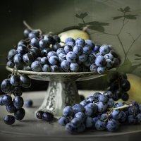 Виноградная пора. :: Bosanat 