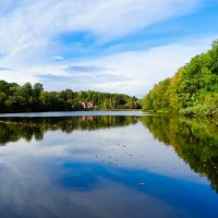 Осень в октябре. :: Милешкин Владимир Алексеевич 