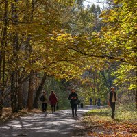 Битцевский лес :: Aleksey Afonin